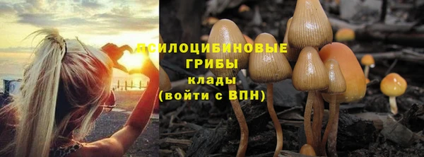 кокаин Лиски