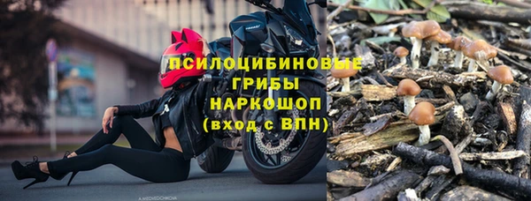 ECSTASY Новый Уренгой